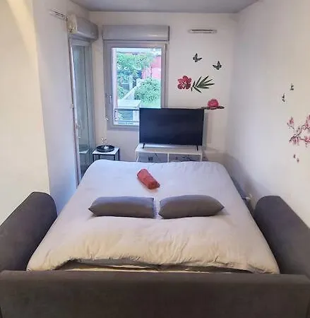 شقة Grand Studio Proche Montpellier كاستيلنو-لو-ليه